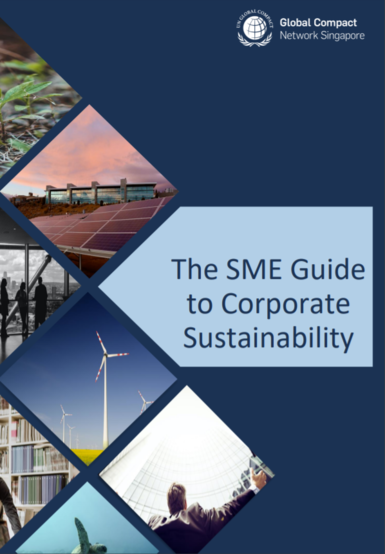 The SME Guide to Corporate Sustainability