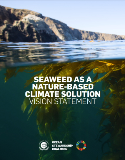 Seaweed as a Nature-Based Climate Solution Vision Statement