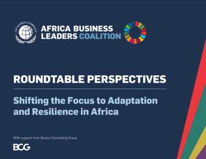 Shifting the Focus to Adaptation and Resilience in Africa