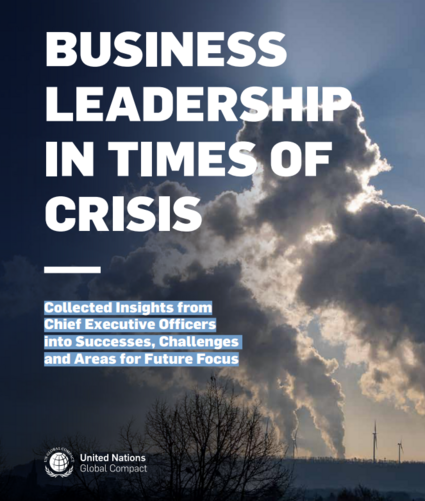 Business Leadership in Times of Crisis: Collected Insights from Chief Executive Officers into Successes, Challenges and Areas for Future Focus